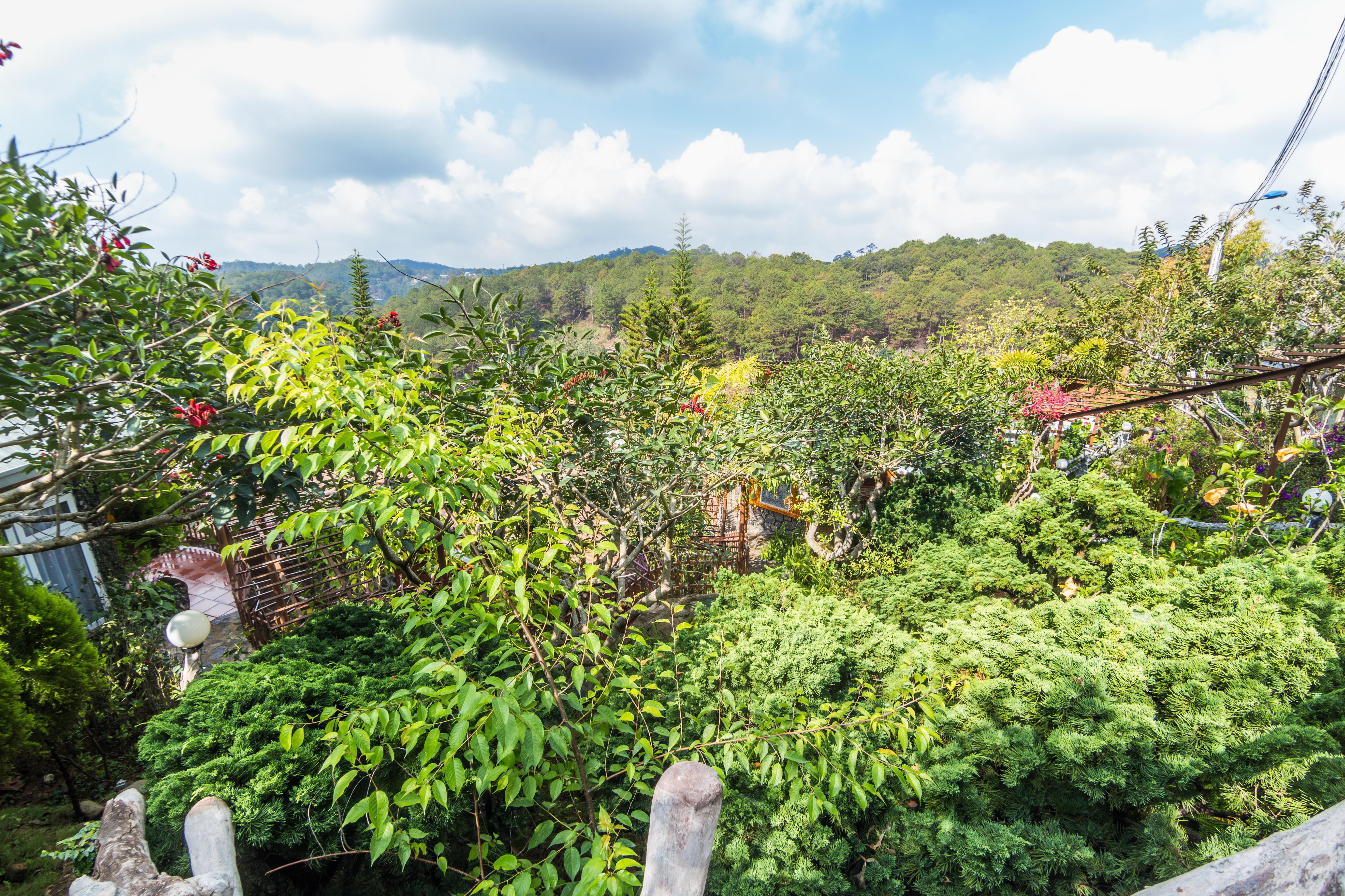 Zen Valley Dalat Εξωτερικό φωτογραφία